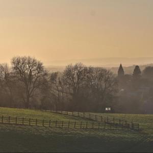 Bilingual Readings of Spring '25 Issue