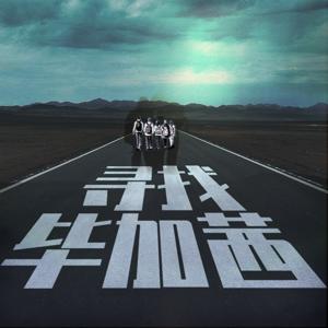 寻找毕加茜｜自我探索类情绪播客