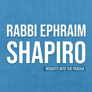 Insights Into The Parsha - With Rabbi Ephraim Shapiro.
