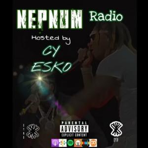 CY ESKO'S "NEPNUM RADIO"