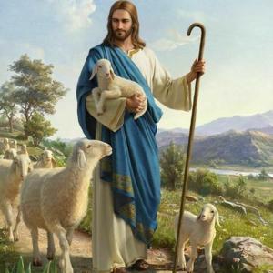 Teologia Pastorale - Introduzione