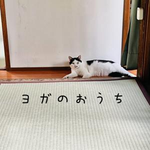 ヨガのおうち〜ヨガ講師による日常のつぶやき