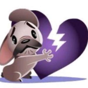 El podcast de elgato bombon