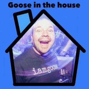 Goose In The House