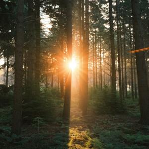 Gestión interna de residuos