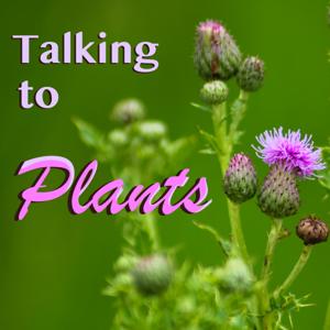 Talking To Plants