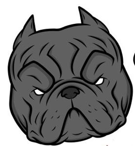 The Bully Spittin Podcast