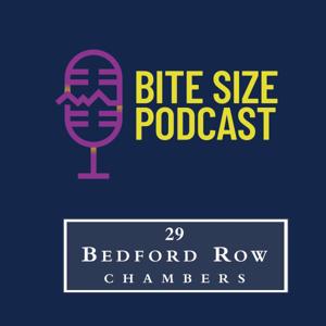 Bite Size Barristers