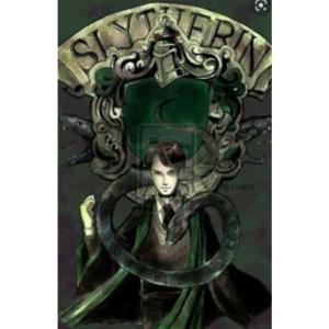 Resorted Harry Potter Fanfic