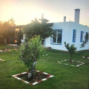 Yeni Yuva Sokak