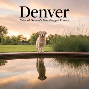 Paws & Reflect: Tales of Denver’s Four-Legged Friends
