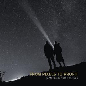 From Pixels to Profit