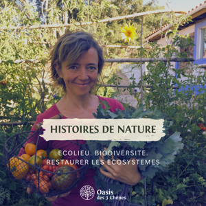 Oasis des 3 chênes