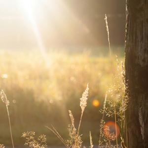 Eternal Sunshine (Brighter Days Ahead)