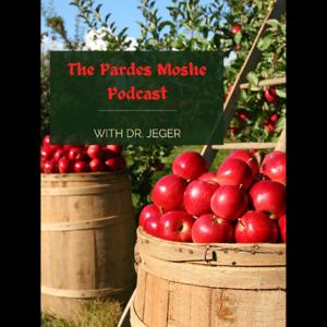 The Pardes Moshe Podcast