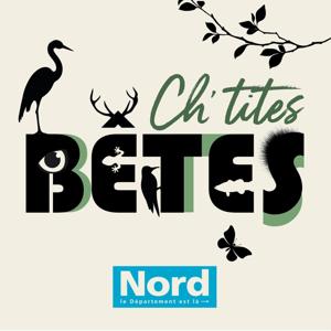 Ch'tites bêtes