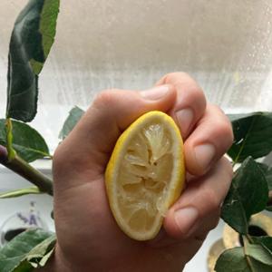 Squeeze the Lemon: Lukas sex diary