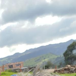 GA3-240202501-AA1-EV02. Audio