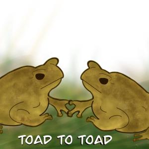 Toad to Toad