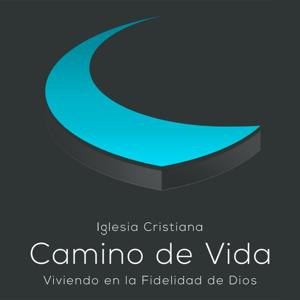 CAMVI