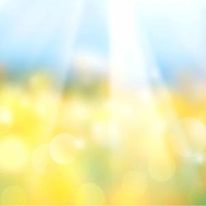 Pieces of Light, by Dheepa-Podcast