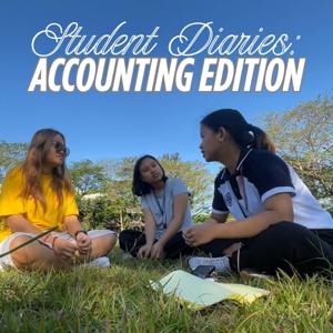 Accounting Diaries: Accounting Edition