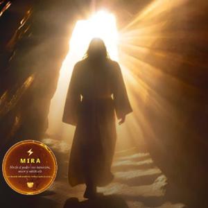 15 minutos para la Vida