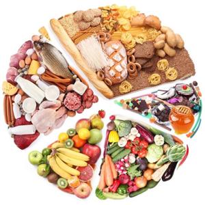 Understanding Micro and Macronutrients