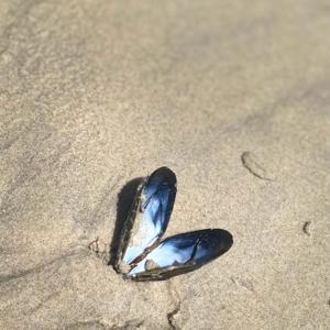 Escalones para un AUTOESTIMA ALTO