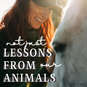 (not just) Lessons From Our Animals