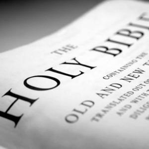 Trimph In Christ Bible Study