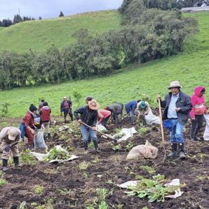Plan de Vinculación Territorial Nariño