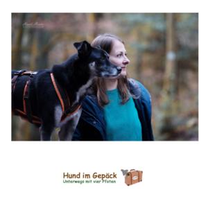 Hund im Gepäck - unterwegs mit vier Pfoten