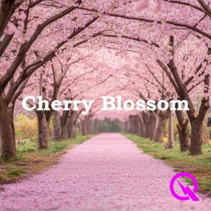 Cherry Blossom