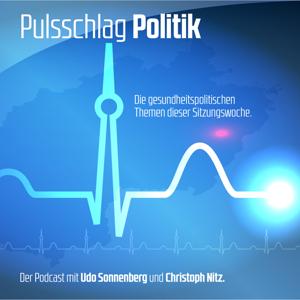 Pulsschlag Politik