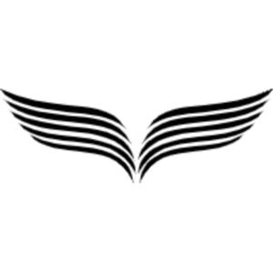 Woven Wings Live