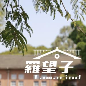 羅望子