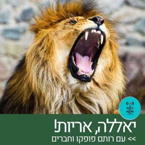 יאללה, אריות!