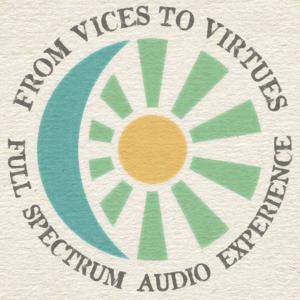 From Vices To Virtues Essential High Performance Experience