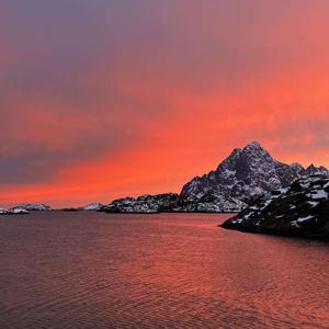 Landscape Lies by Landscape Lyle