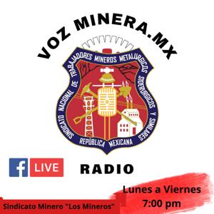 Voz Minera MX
