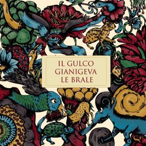 Il Gulco Gianigeva le brale - IUSS Pavia
