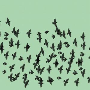 In der grossen Seestadt Tondern