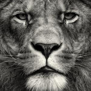 God, Health, and Relationships