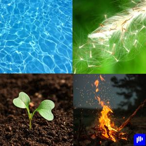 Paisajes sonoros envolventes: ASMR para dormir, relajarse, ansiedad y el estrés