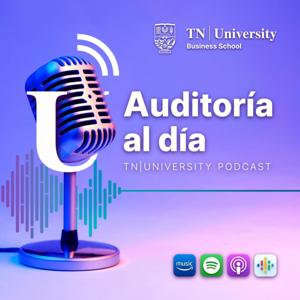 AUDITORÍA AL DÍA