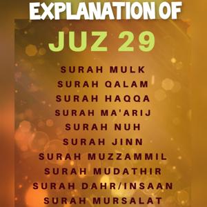 Explanation of Juz 29 of The Qur'an