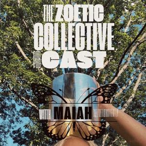The Zoetic Collective Podcast