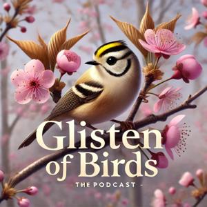 Glisten of Birds
