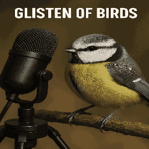 Glisten of Birds